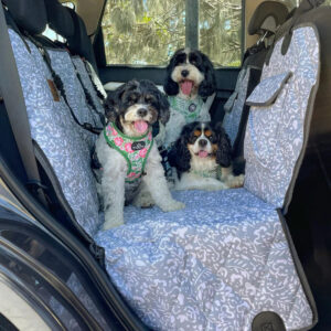 Car Hammock Back Seat Cover (Neutral Brushstrokes | Pebble)