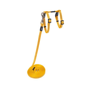 AlleyCat Harness & Lead Set Gold