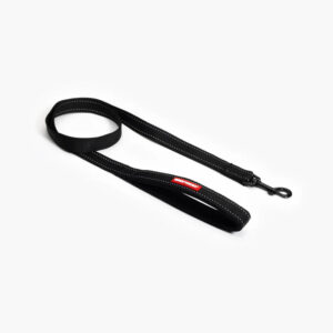 Essential Dog Leash