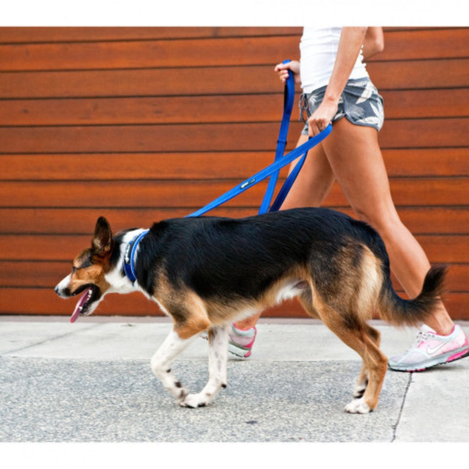 Vario 6 Multi-Function Dog Leash - Image 4