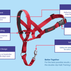 HALTI HeadCollar Train| Black