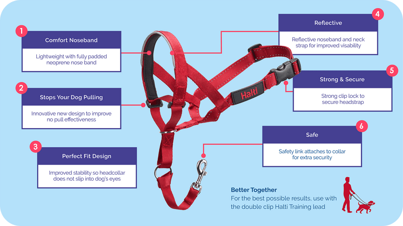 HALTI HeadCollar Train| Black