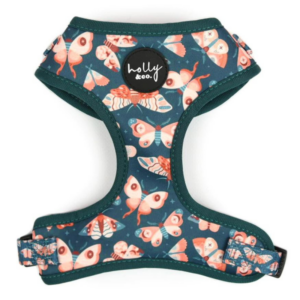 Wings Dog Harness - FINAL SALE. NO RETURNS.