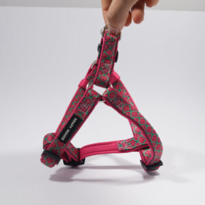 Hot Pink Watermelons | Step-In Dog Harness