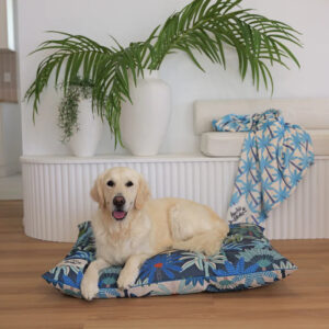 Indoor Dog Bed | Prestige Palms*