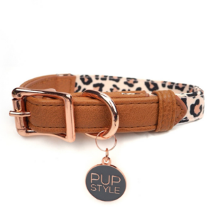 Wild One City Dog Collar