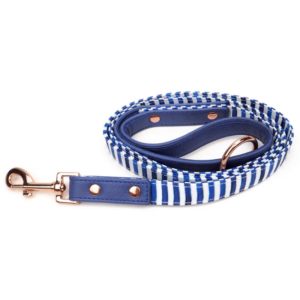 Stripe Squad City Dog Leash