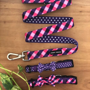 The Fashionista Leash