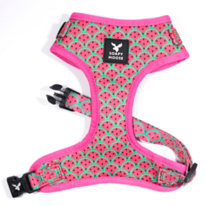 Hot Pink Watermelon | Adjustable Dog Harness