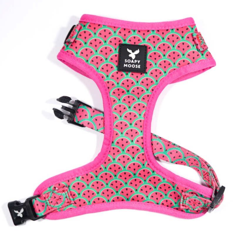 Hot Pink Watermelon | Adjustable Dog Harness
