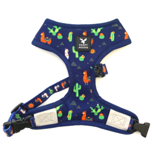 Desert Llamas | Reversible Dog Harness
