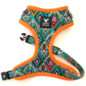 Moroccan Sunrise | Adjustable Dog Harness