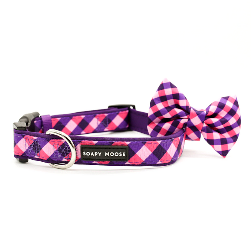 The Fashionista Dog Collar & Bow Tie
