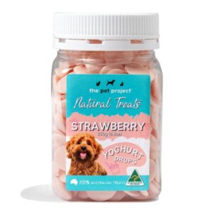 Yoghurt Drop Treats | Strawberry
