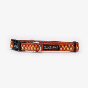 Sandy Flames Dog Collar