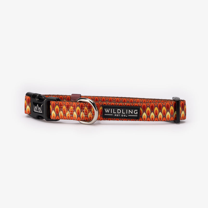 Sandy Flames Dog Collar