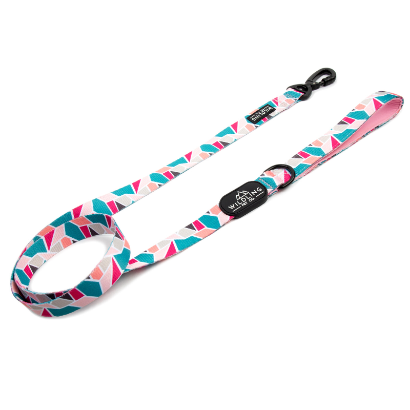 Acute Dog Leash