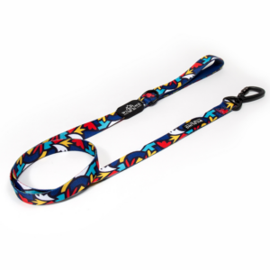 Fiesta Dog Leash