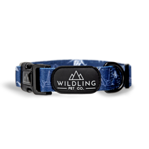 Tokyo Dog Collar