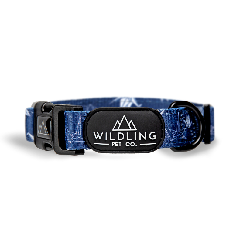 Tokyo Dog Collar