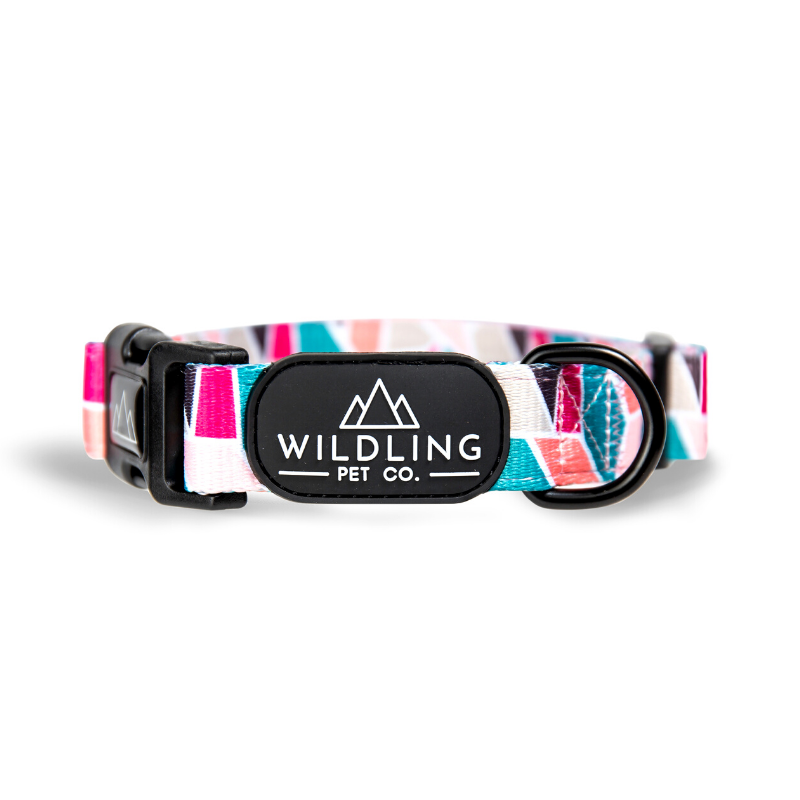 Acute Dog Collar