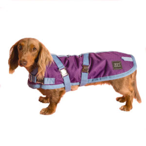 Dachshund Dog Coat | Purple/Blue