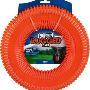 ChuckIt! Rugged Flyer Dog Toy