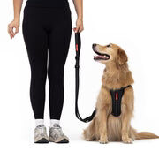 EzyDog Essential Adjustable Leash