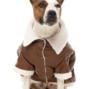 Aviator Dog Jacket