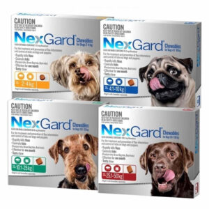 NexGard Chewables | 3 Pack