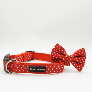 Red & White Polka Dots Collar & Bow Tie