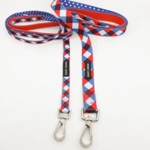 The Trend Setter Leash