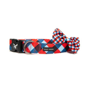 Trendsetter Collar & Bow Tie