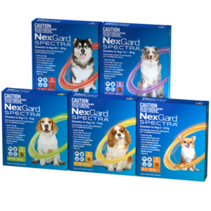 NexGard Spectra Chewables | 3 Pack