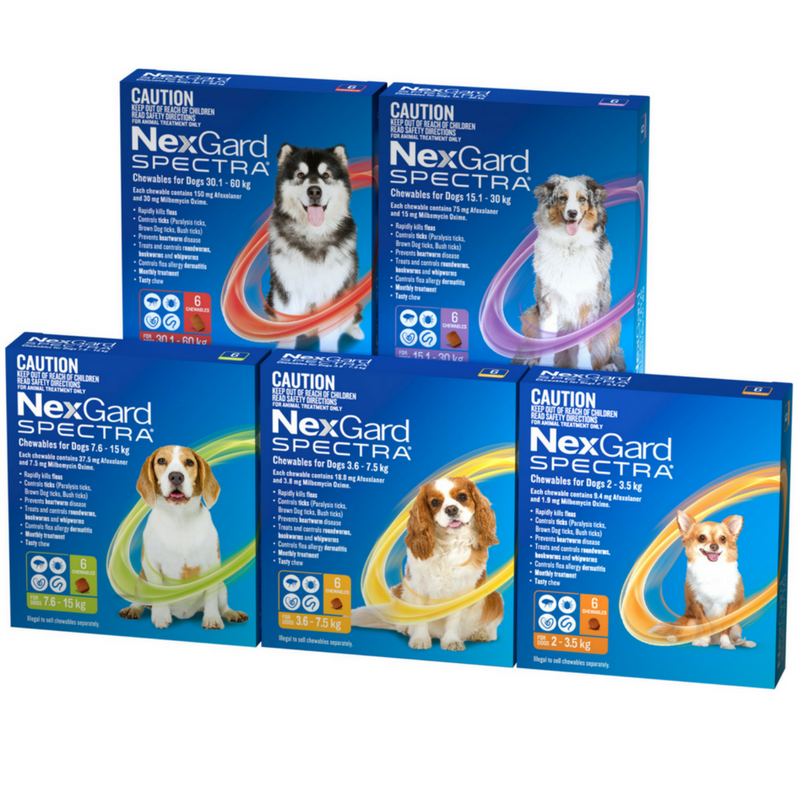 NexGard Spectra Chewables | 3 Pack